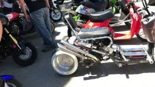 Chicago Ruckus Chicago Grom AYFN 2017