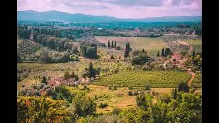 My Favorite Italian Baroque 38 minutes