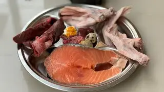Oliang the dog eats Salmon Steak+Pork Heart+Coconut Cream combo[ASMR] MUKBANG 犬が生の肉を食べる 개는 날 음식을 먹는다