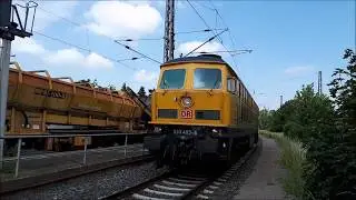 Bahnbautiger (233 493) mit Schotterreinigung in D&ouml;beln