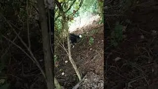 27 July Update on the girls and the paddock