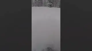 Goodbye a-arm😭 #fail #fails #failarmy #snow #snowmobiling #208 #trees #wait #pine #stump #notgood