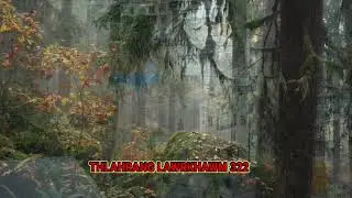 Sikulsa a an inhlawhna ah Biaksiama te pafa in thilmak an tawng ( Thlahrang Lawrkhawm 322 )
