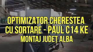 Optimizare cherestea la semn de cretă cu sortare - Paul C14