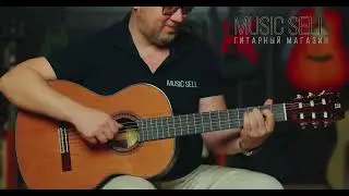 ALHAMBRA 7P - Летов - Все Идет По Плану - MUSIC SELL