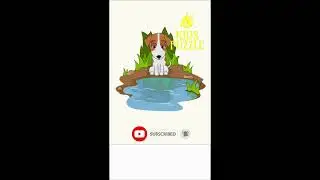 🐕 Dog Puzzle: Missing Shadow in Water, Then Added! See the Complete Picture!