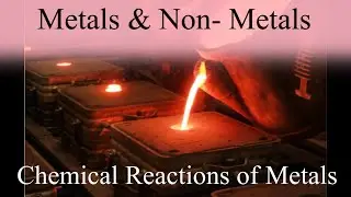 Chemical Reactions of Metals || CBSE 10 || NCERT