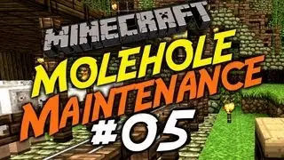 Molehole Maintenance #5 - Moletastic Entrances!