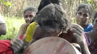 Irulas.flv
