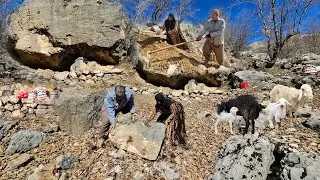 Самая трудолюбивая кочевая пара, кочевая жизнь и тяжелый труд в самом сердце гор 🏔
