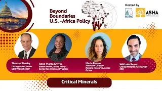 Critical Minerals and Africa&rsquo;s Role in the Clean Energy Transition | Asha Strategies
