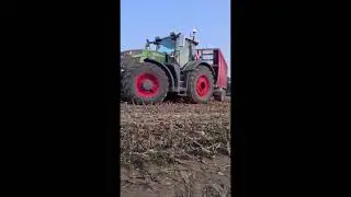 UK South West Somerset Maize harvest 2020, Fendt Katan 65 and Claas 970 Forage Harvesters