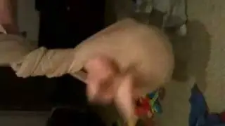 Tawel spin