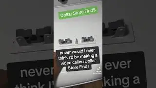 Tough times #dollarstorefinds #liberallogic #biden #diy