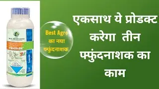 तिन chemical से बना Tricolor फ्फुंदनाशक | Tricolor | Best Agro Life | #agriculture 