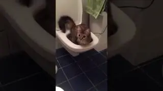 VIDEO CHAT DR&Ocirc;LE AU TOILETTES !