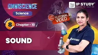 Sound | Science Class 8 | Chapter 10 | IP Study