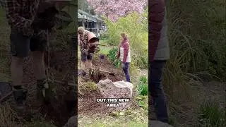 Citrus Garden's Spring Refresh: Mushroom Compost Magic & New Plants! #shorts