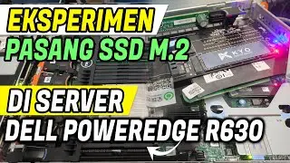 Upgrade SSD M2 Server Dell Poweredge R630 Indonesia - SSD Kyo Kaizen m.2 SATA