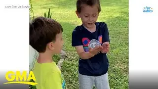 Kid finds frog in his backyard and loses his mind