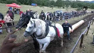 - DUCELJA PO KIŠI NA TEŠKOJ STAZI PREKAJE ŠAMPION TEŠKE -