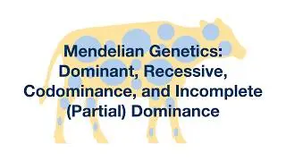 Mendelian Genetics: Dominant, Recessive, Codominance, and Incomplete Dominance Explained