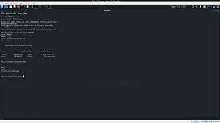 Reverse Shell - Initial testing demo