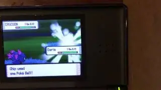 [ISHC 2016 #2] Shiny Cascoon ~412 Encounters (824 seen) (Phase 1)