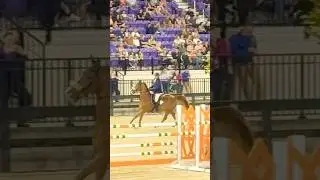 Luis Sabino Goncalves  on a different horse. 125,000 IDA DEVELOPMENT  GRAND PRIX 3/15/2025