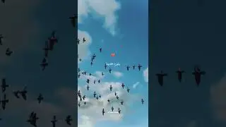 #Islamic contact for first video #Islamic short video  #Islamic state video of viral#10million views