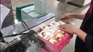Horizontal Type biscuit and cookies bag carton case packaging machine