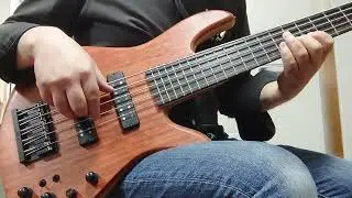 Fodera 2022 Anniversary Emperor 5 Deluxe  DEMO