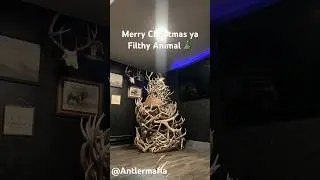 Antler Christmas Tree #Christmas #Antlermafia #shedhunting #antler #shorts #Antlertree #firstlite