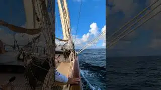 SV La Vela 8/2023 holiday