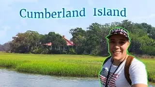 WILD HORSES! Cumberland and Amelia Island Boat Tour.