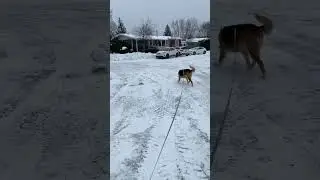 Ice soccer