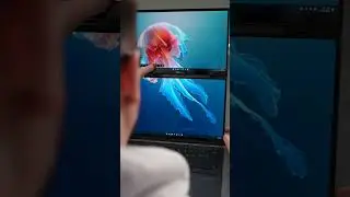 На что способен ScreenXpert в Zenbook Duo (2024)?🔥
