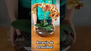 Como fazer arranjo de orqu&iacute;dea ! #funny #decoracao #fy #portoferreira #live #liveshop