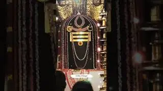 lord shiva motivation | Malaysia | Siddhar Padalgal | #2022 #tamil #tamilstatus #lordshiva #shorts
