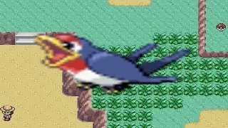 How to find Taillow in Pokemon Ruby and Sapphire