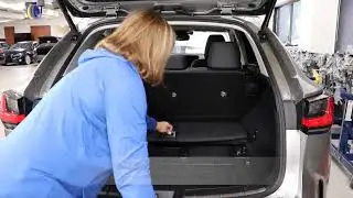 2022 NX Rear door and Tonneau Cover