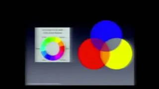 The connection between color, and happiness | Roshni Thyagrajan | TEDxEastBrunswickHighSchool