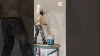 Asian paint Royal shine colour bedroom wall painting fast coat #shorts #viral #painting #trending