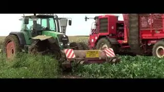 Beet harvest 2013