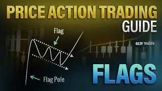Price Action Guide: Mastering Flags Patterns (Basic to Advanced) | Learn Crypto & Forex Mastery