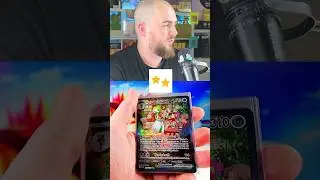 Alle Pok&eacute;mon Karten Seltenheiten in 1 Minute erkl&auml;rt #shorts