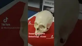 Forensics Osteology Teens