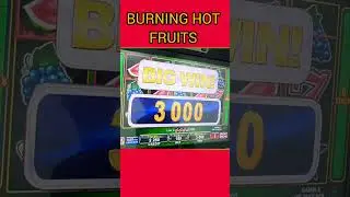 BURNING HOT FRUITS BET 7,50 SLOT PĂCĂNELE