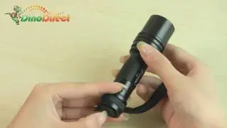 Portable 1W LED Flashlight Light Lamp Torch Black - dinodirect