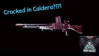 Austrian Leather Bren Cracked or Crap Call of Duty Warzone